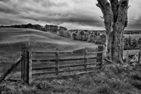 Lanark countryside