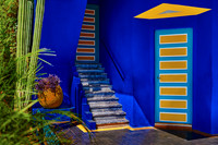 Majorelle Gardens, Marrakech